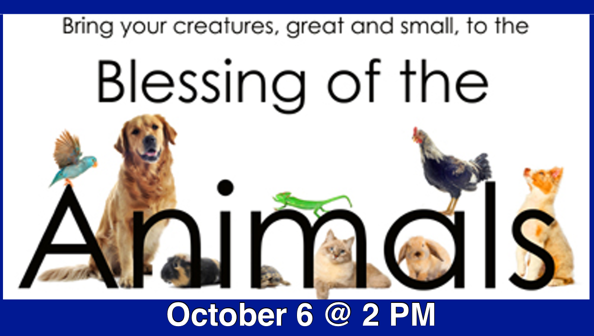 Blessing Of The Animals