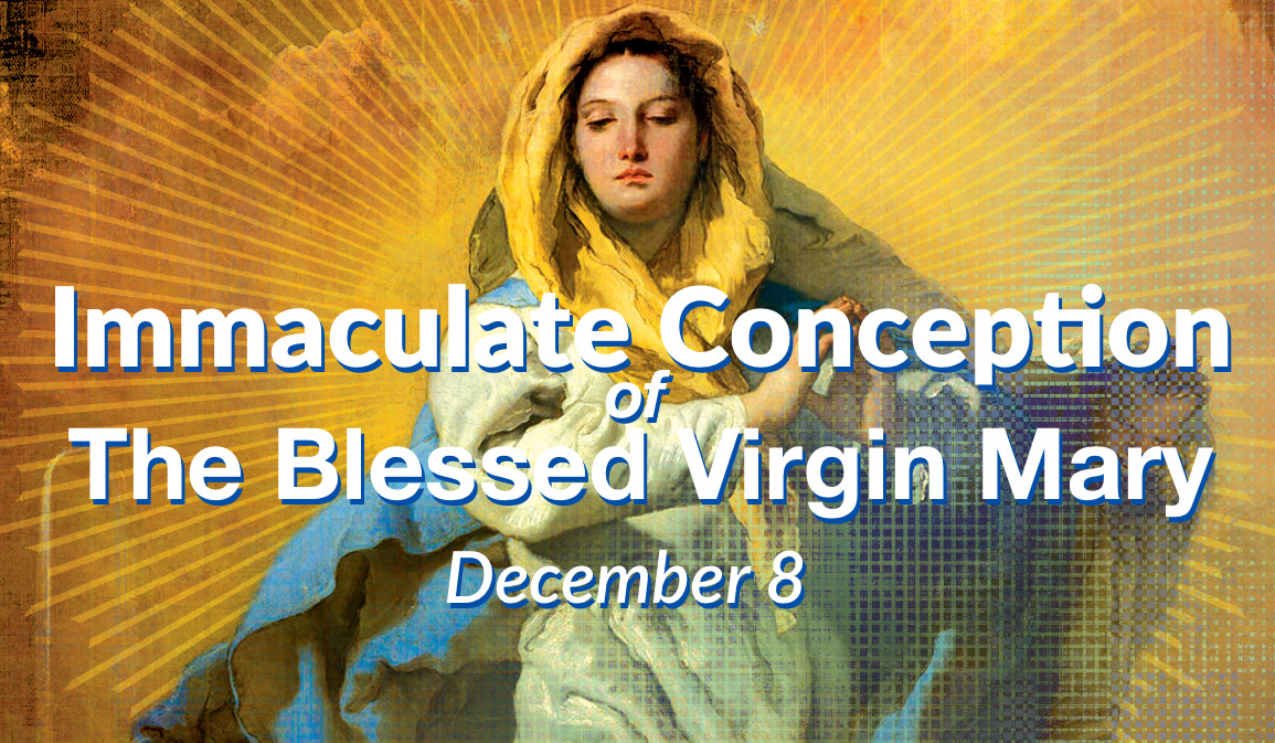 feast of the immaculate conception of mary